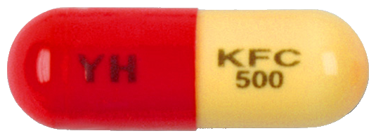 케파신캡슐500mg 제품 사진