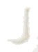 대화파모티딘정20mg 제품 사진