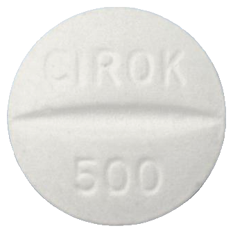 씨록정500mg 제품 사진