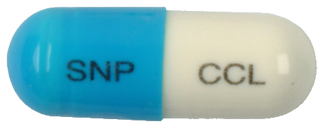 에이프로젠세파클러캡슐250mg 제품 사진
