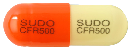 팜젠세프라딘수화물캡슐500mg 제품 사진