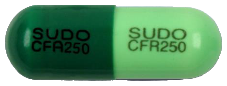 우리들세프라딘수화물캡슐250mg 제품 사진