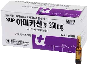 유니온아미카신주250mg_(0.25g/2mL) 제품 사진