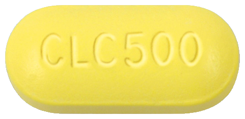 클라릭정500mg 제품 사진