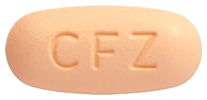 세포질정250mg 제품 사진