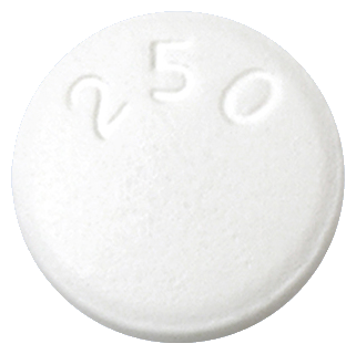 바이비어정250mg 제품 사진