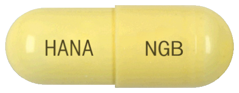 뉴가바캡슐300mg 제품 사진