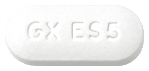 진네트정125mg 제품 사진