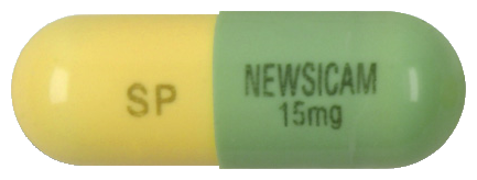 뉴시캄캡슐15mg 제품 사진
