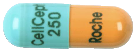셀셉트캡슐250mg 제품 사진