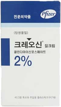 크레오신질크림2%_(0.8g/40g) 제품 사진