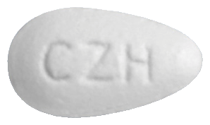 세자르정100mg 제품 사진