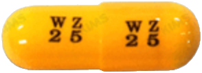 윌리진캡슐25mg 제품 사진
