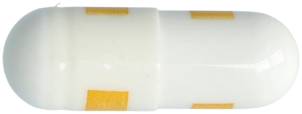 셀콕스캡슐200mg 제품 사진