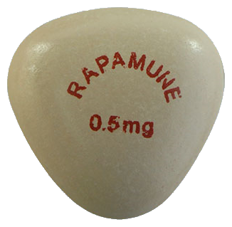 라파뮨정0.5mg 제품 사진