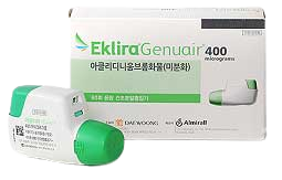 에클리라제뉴에어400μg_(24mg /60회) 제품 사진