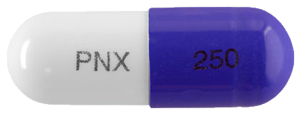 세파론캡슐250mg 제품 사진
