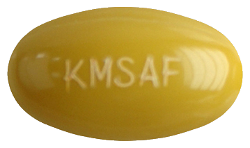 알포트네연질캡슐 제품 사진