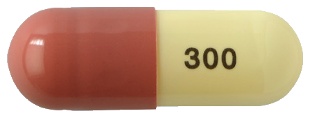 테바프레가퀄캡슐300mg 제품 사진