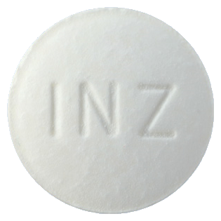 이나졸정100mg 제품 사진