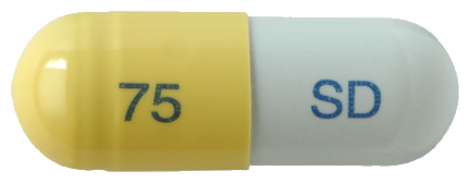 비셀플루캡슐75mg 제품 사진