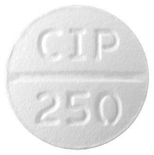 팜젠시프로플록사신정250mg 제품 사진