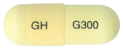 가바페캡슐300mg 제품 사진