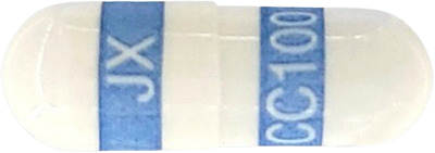 진브렉스캡슐100mg 제품 사진