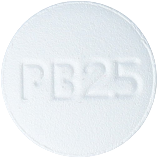 엘팍정25mg 제품 사진