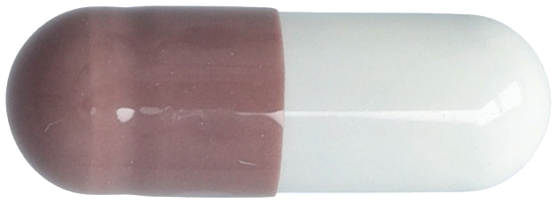 캄지오스캡슐2.5mg 제품 사진