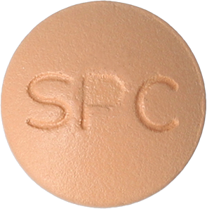 자누에스정100mg 제품 사진