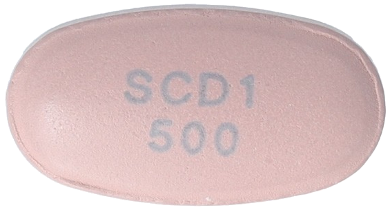 엠포가듀오정12.5/500mg 제품 사진