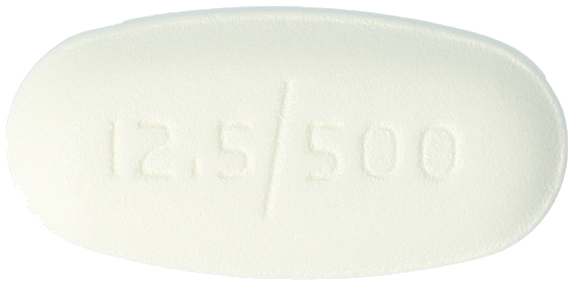 네시나메트정12.5/500mg 제품 사진