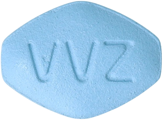 브이그라정100mg 제품 사진