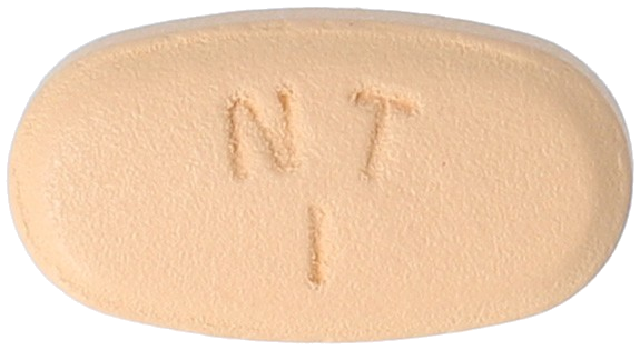 닌테브로정100mg 제품 사진