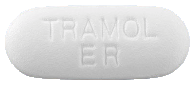 트라몰8시간서방정650mg 제품 사진