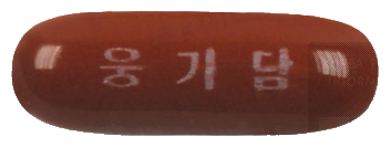 웅기담연질캡슐 제품 사진