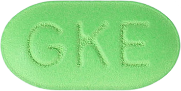 징코케이정80mg 제품 사진