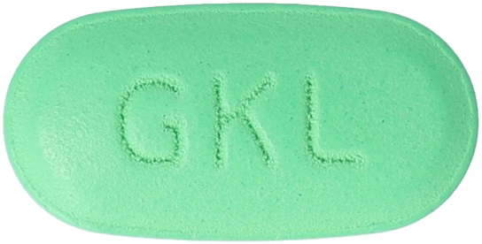 징코타정240mg 제품 사진