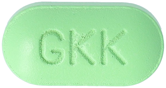 징코케이정240mg 제품 사진